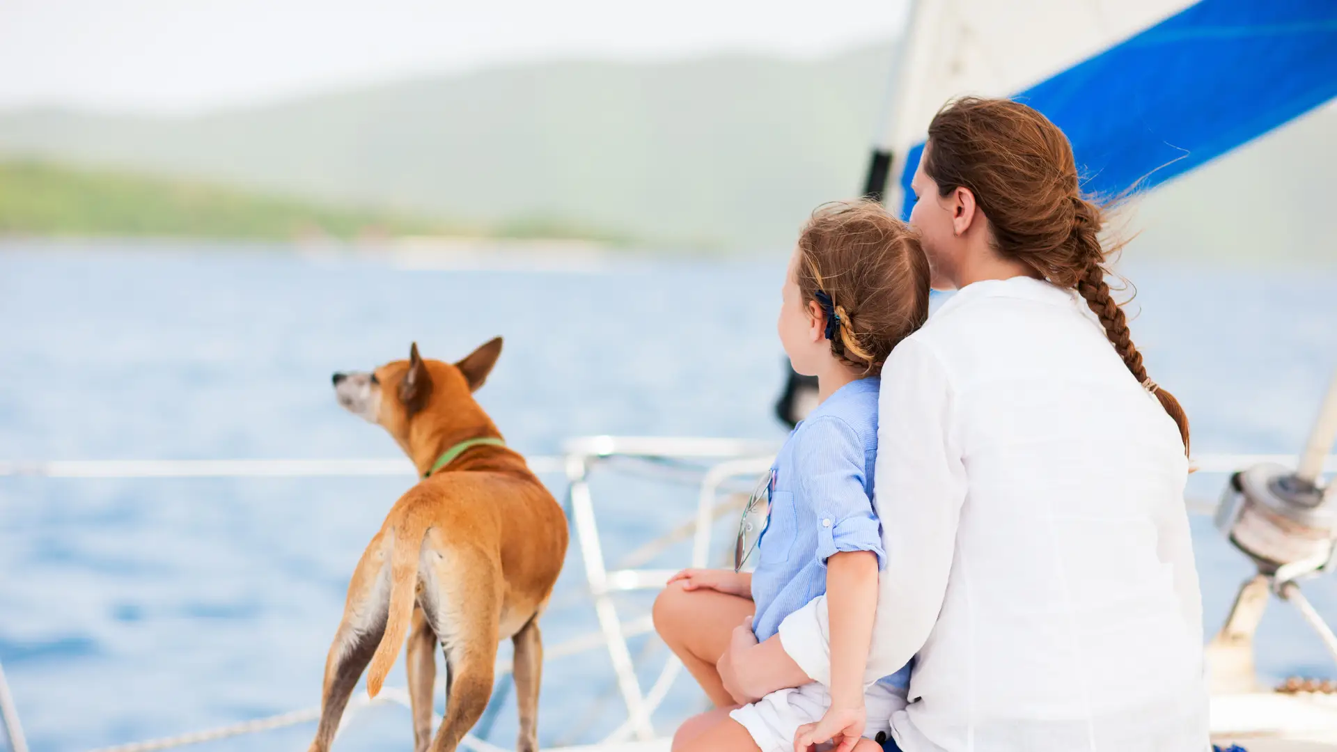 Heatwave boat tips dog owners